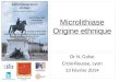 Soci©t© de Chirurgie de Lyon Microlithiase Origine ethnique Dr N. Golse Croix-Rousse, Lyon 13 F©vrier 2014
