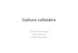 1 Culture cellulaire Pr Pierre Jeannesson CNRS UMR 6237 UFR de Pharmacie