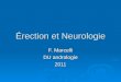 Érection et Neurologie F. Marcelli DU andrologie 2011