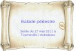 Balade pédestre Sortie du 17 mai 2011 à Tourneville / Autrebosc