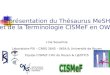 Représentation du Thésaurus MeSH et de la Terminologie CISMeF en OWL Lina Soualmia Laboratoire PSI – CNRS 2645 – INSA & Université de Rouen Equipe CISMeF