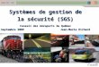 Systèmes de gestion de la sécurité (SGS) Conseil des Aéroports du Québec Septembre 2009 Jean-Marie Richard