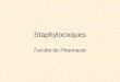 Staphylocoques Faculté de Pharmacie. Objectifs S. aureus Niveau 1 : –Ecologie : Flore normale du sujet sain. Fosses nasales +++ –Clinique : Bactérie pyogène
