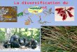 La diversification du vivant. A. Des mécanismes de diversifications géniques Cf TP 8, atelier 1 et 4