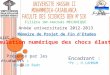 Année universitaire 2012-2013 Mémoire de Projet de Fin dEtudes Sujet : « Simulation numérique des chocs élastiques » Pr é sent é par les é tudiants : -