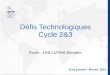Défis Technologiques Cycle 2&3 École : LES LUTINS Bamako Date janvier –février 2014