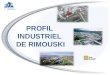 Lactivité économique industrielle de Rimouski ne se situe pas uniquement dans ses trois Parcs industriels et technologiques. Elle est également présente
