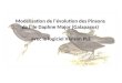 Modélisation de lévolution des Pinsons de lîle Daphne Major (Galapagos) avec le logiciel Vensim PLE