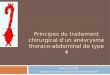 Principes du traitement chirurgical dun anévrysme thoraco- abdominal de type 4 Quentin PELLENC Collège de chirurgie vasculaire d'ile de France 2009