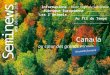 Seminews N°8 Décembre 2013 ( Canada au cœur des grands espaces ) Informations toute linfo du Séminaire Rubrique Européenne …………………….. Les ZAnimals ……………………………………