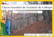 Arles sur Tech - 19 janvier 2007 Charte Forestière de Territoire du Vallespir COMITE DE PILOTAGE