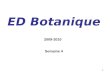 1 ED Botanique 2009-2010 Semaine 4. 2 Raphides d'oxalate de calcium Microcristaux d'oxalate de calcium