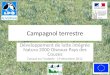 Campagnol terrestre Développement de lutte intégrée Natura 2000 Oiseaux Pays des Couzes Dauzat-sur-Vodable - 19 décembre 2012