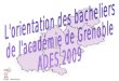 08/10/2010 SAIO. Évolution en 10 ans des effectifs de bacheliers : part des BEG et des Btn ADES 1999 à 2009 - académie de Grenoble La population totale