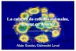 La culture de cellules animales, quosse ça donne? Alain Garnier, Université Laval