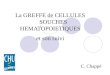 La GREFFE de CELLULES SOUCHES HEMATOPOIETIQUES et son suivi C. Chappé
