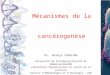 Mécanismes de la cancérogenèse Dr. Jocelyn CERALINE Université de Strasbourg/Faculté de Médecine/EA4438 Laboratoire Signalisation et Cancer de la prostate
