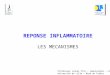 REPONSE INFLAMMATOIRE LES MECANISMES Professeur Lionel Prin – Immunologie – Lille 2 Université de Lille – Nord de France