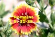 Romains 8: 31-39 Que dirons-nous de plus ? Si Dieu est pour nous qui peut être contre nous ?