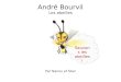 André Bourvil Les abeilles Sauvons les abeilles! Par Nanou et Stan