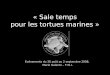 « Sale temps pour les tortues marines » Evénements du 30 août au 2 septembre 2008, Marie Galante – F.W.I