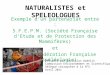 NATURALISTES et SPELEOLOGUES Exemple dun partenariat entre : S.F.E.P.M. (Société Française dEtude et de Protection des Mammifères) et F.F.S. (Fédération