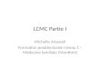 LCMC Partie I Michelle Anawati Formation postdoctorale niveau 1 – Médecine familiale (Montfort)