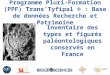 Programme Pluri-Formation (PPF) TransTyfipal ® : Base de données Recherche et Patrimoine Chauvelicystis spinosa Ubaghs, 1969 Inventaire des types et figurés