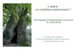 Larbre, un emblème patrimonial ? A loccasion de lexposition «Arbres remarquables en province de Namur - Un patrimoine toujours vert» Témoignage photographique