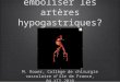 Comment emboliser les artères hypogastriques? M. Rouer, Collège de chirurgie vasculaire dîle de France, 04.XII.2010