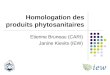 Homologation des produits phytosanitaires Etienne Bruneau (CARI) Janine Kievits (IEW)