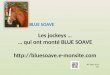 Les jockeys … … qui ont monté BLUE SOAVE  BLUE SOAVE NP Mars 2014 v01