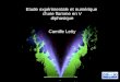 Etude expérimentale et numérique d'une flamme en V diphasique Camille Letty
