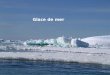 Glace de mer. En Arctique: varie de 7 à 15 millions de km² En Antarctique de 1 à 18 millions de km² Très fort albédo donc effet rétroaction positive sur
