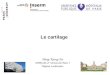 Le cartilage Hang-Korng Ea UMR 606 & Université Paris 7 Hôpital Lariboisière