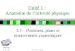 Sport Books Publisher1 Unité 1 : Anatomie de lactivité physique 1.1 – Positions, plans et mouvements anatomiques Chapitre 2 p. 17 - 23