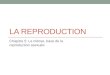 LA REPRODUCTION Chapitre 5: La mitose, base de la reproduction asexuée