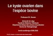 Prof. Ch. Hanzen – Le kyste ovarien dans lespèce bovine 1 Le kyste ovarien dans lespèce bovine Professeur Ch. Hanzen Université de Liège Faculté de Médecine