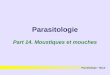 Parasitologie Part 14. Moustiques et mouches Parasitologie – Bac3