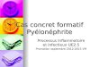 Cas concret formatif Pyélonéphrite Processus Inflammatoire et infectieux UE2.5 Promotion septembre 2012-2015 VM