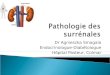 Dr Agnieszka Smagala Endocrinologue-Diabétologue Hôpital Pasteur, Colmar