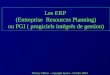 Thierry Gilbert - copyright dynact - Octobre 2004 Les ERP (Entreprise Resources Planning) ou PGI ( progiciels intégrés de gestion)