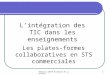 Réunion IANTE Economie et gestion 1 Lintégration des TIC dans les enseignements Les plates-formes collaboratives en STS commerciales