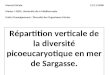 Répartition verticale de la diversité picoeucaryotique en mer de Sargasse. Morezzi Nicola. 21/11/2008 Master 1 BEM, Université de la Méditerranée. Unité