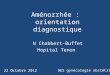 Aménorrhée : orientation diagnostique N Chabbert-Buffet Hopital Tenon 22 Octobre 2012 DES gynécologie obstétrique