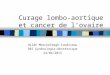 Curage lombo-aortique et cancer de lovaire Hilde Merckelbagh-Coudrieau DES Gynécologie-Obstétrique 24/04/2013
