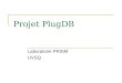 Projet PlugDB Laboratoire PRISM UVSQ. Travaux réalisés Définition dun format déchange XML Simulation dun serveur relationnel-XML Prototypage dun outil
