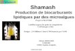 Shamash PNRB 26/02/ 2008 Shamash Production de biocarburants lipidiques par des microalgues Projet ANR-PNRB Labéllisé auprès des poles de compétitivité