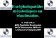 Encéphalopathies métaboliques en réanimation S. WIRAMUS DES Anesthésie Réanimation DESC Réanimation Médicale Clermont-Ferrand juin 2008