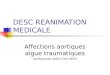 DESC REANIMATION MEDICALE Affections aortiques aigue traumatiques Sanfiorenzo céline CHU NICE